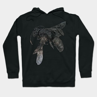 Star Bee Hoodie